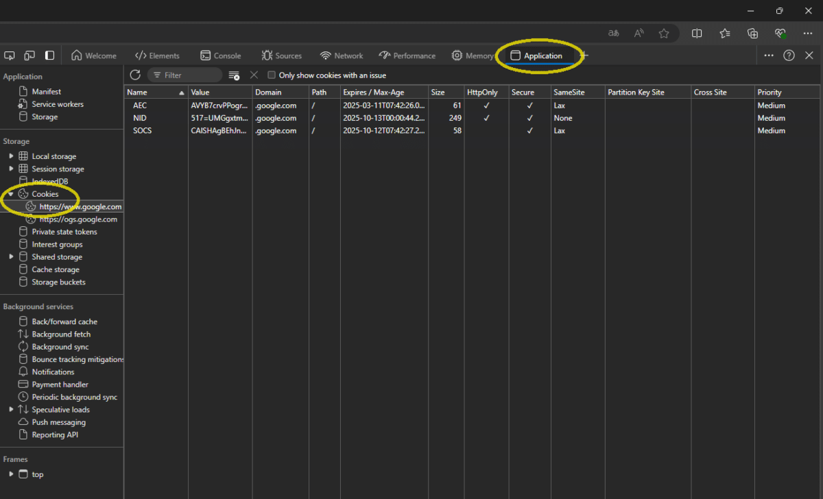 How to find the cookie overview in the Application tab