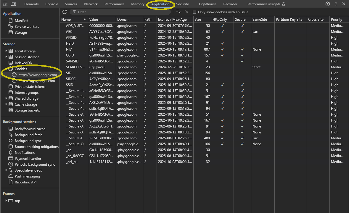 How to find the cookie overview under the Application tab in Developer tools