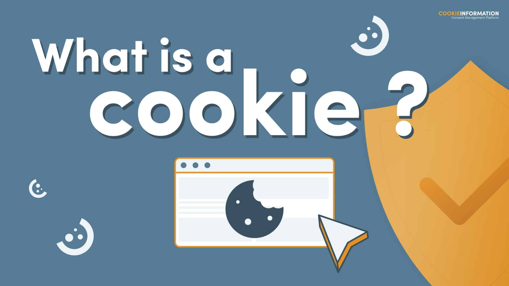 Archaeologist today Massage What is a cookie? - Become compliant with Cookie Information